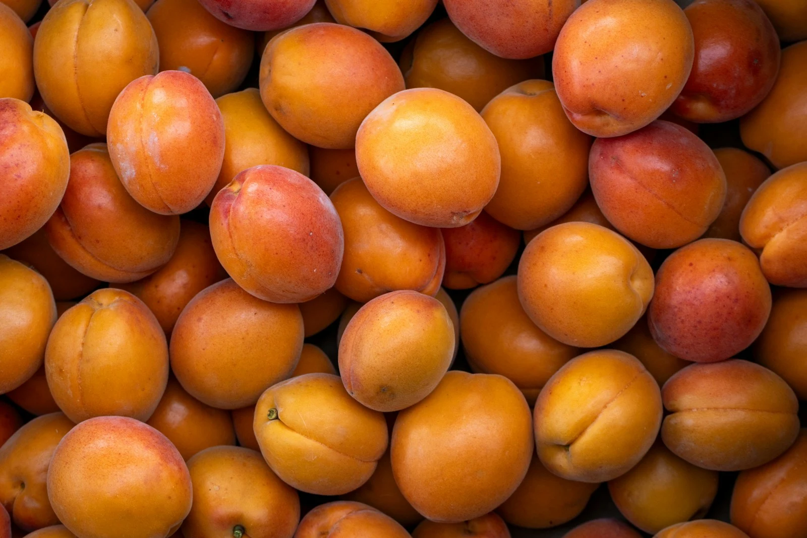 Fresh orange apricots illustrating the natural origin of apricot shell